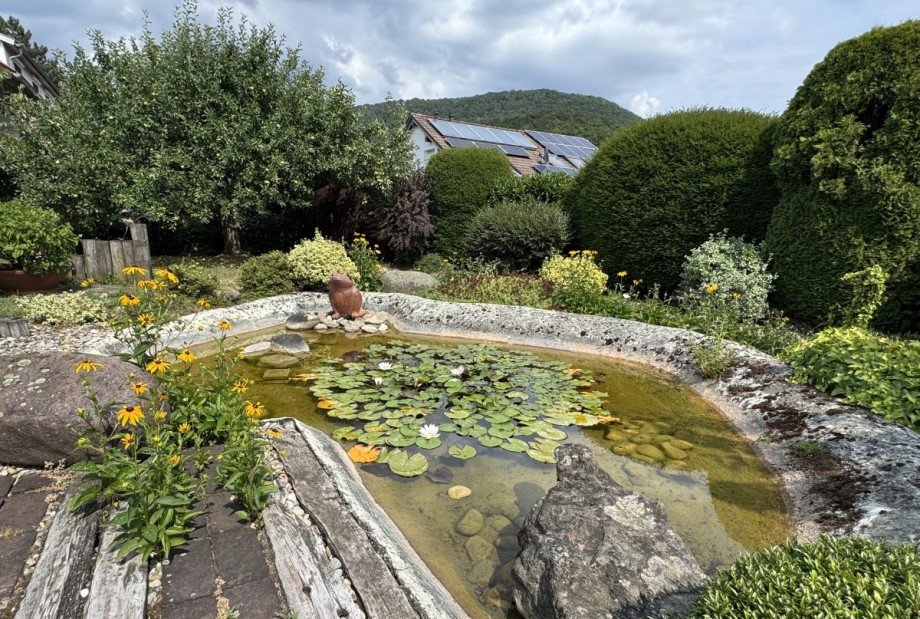 Teich Einfamilienhaus Donzdorf