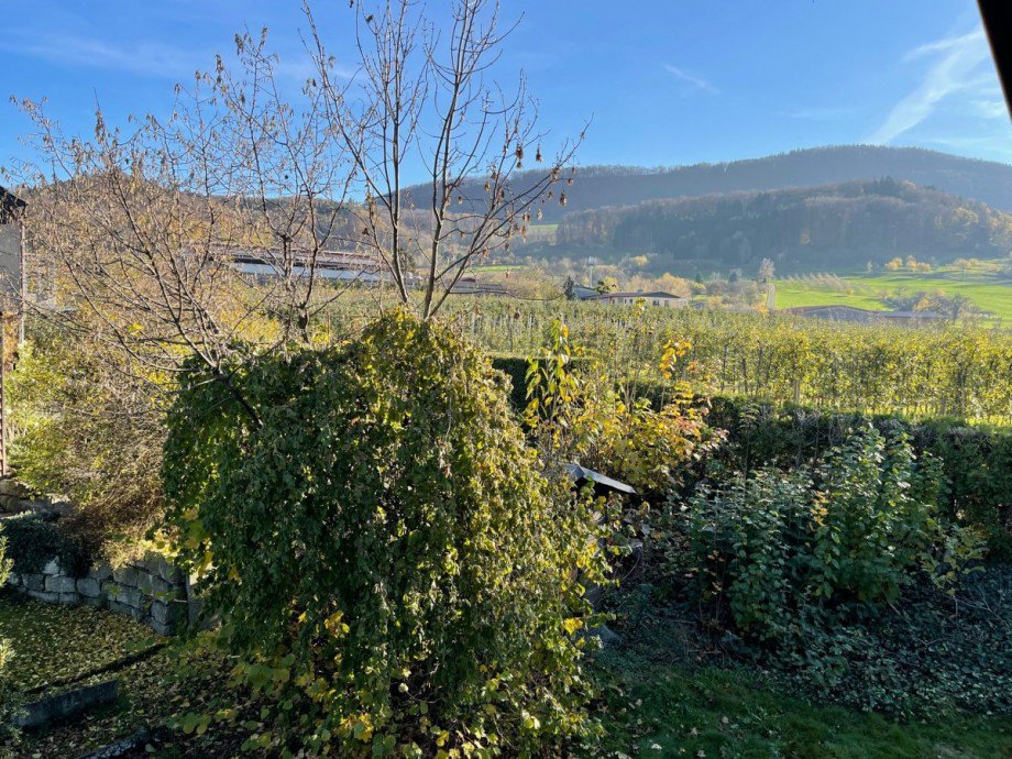 Aussicht Einfamilienhaus Schlat