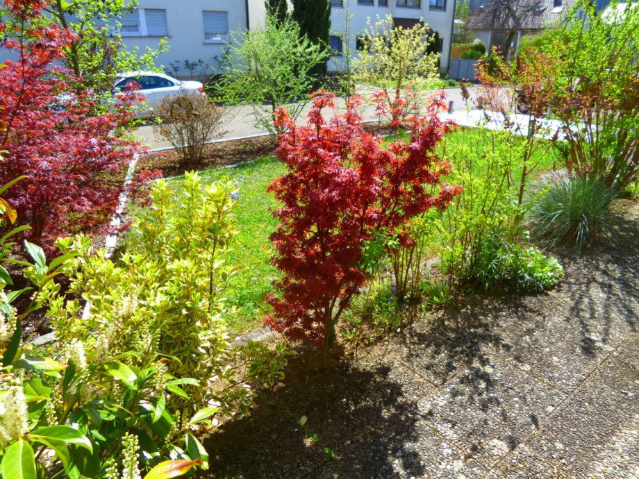 Terrasse EG mit Vorgarten Mehrfamilienhaus Gingen