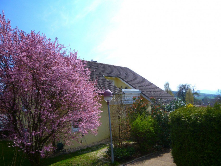 Ansicht Einfamilienhaus Ottenbach
