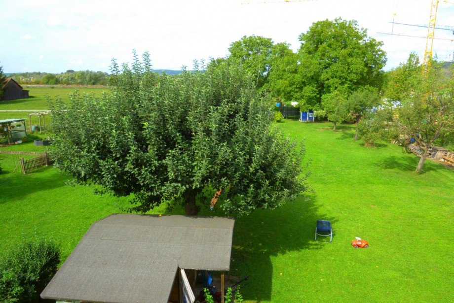 Garten Mehrfamilienhaus T�bingen