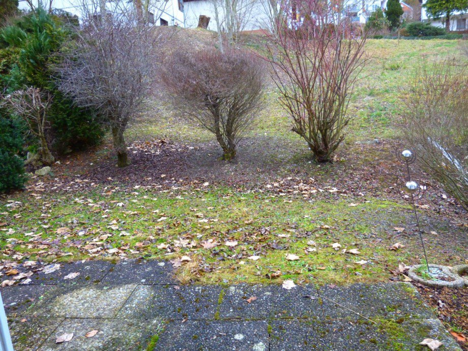 Terrasse mit Garten Erdgeschosswohnung Bad Ditzenbach