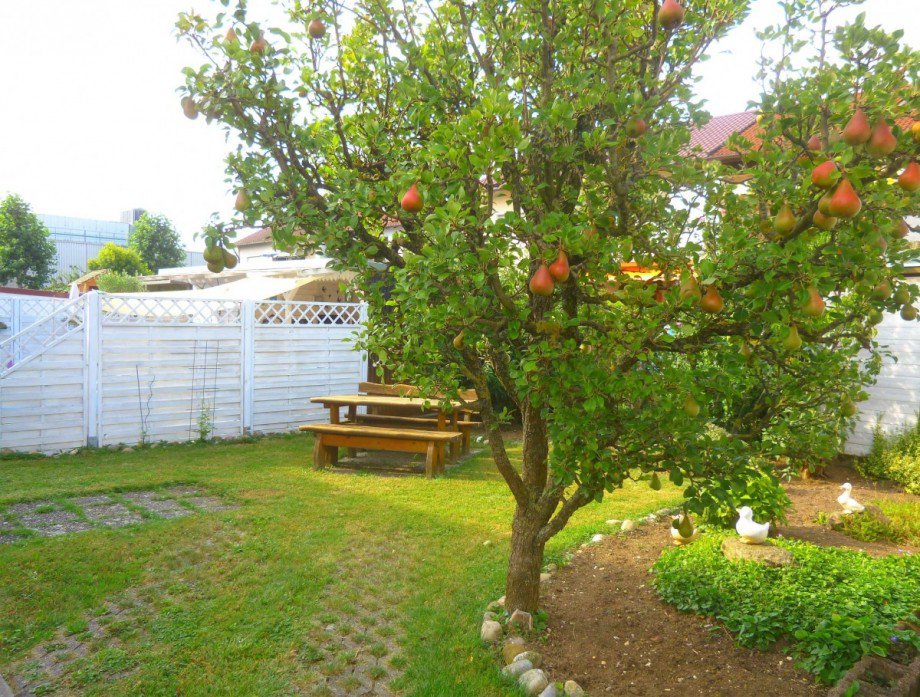 Garten Reihenendhaus Salach