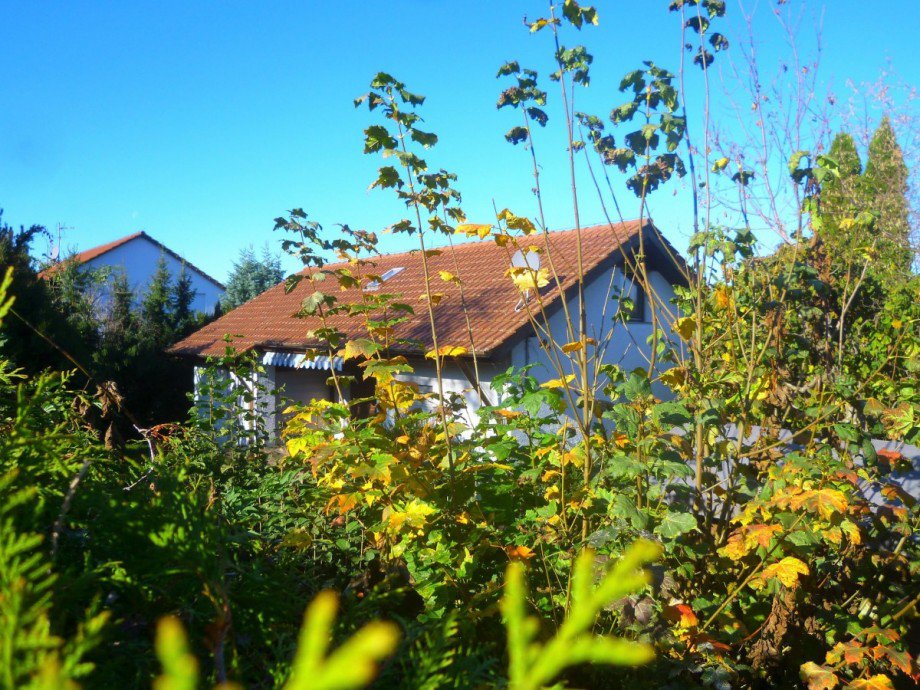 Ansicht Einfamilienhaus Schlat