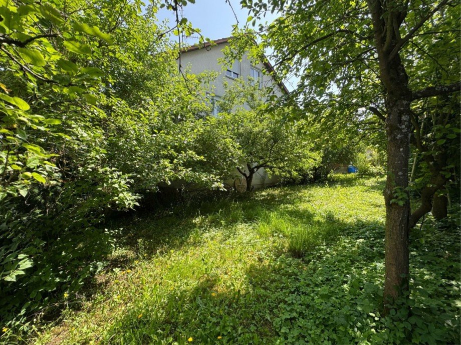 Garten Mehrfamilienhaus Ottenbach