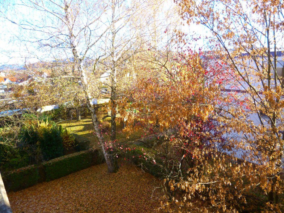 Blick vom Balkon in den Garten Dachgeschosswohnung Heiningen