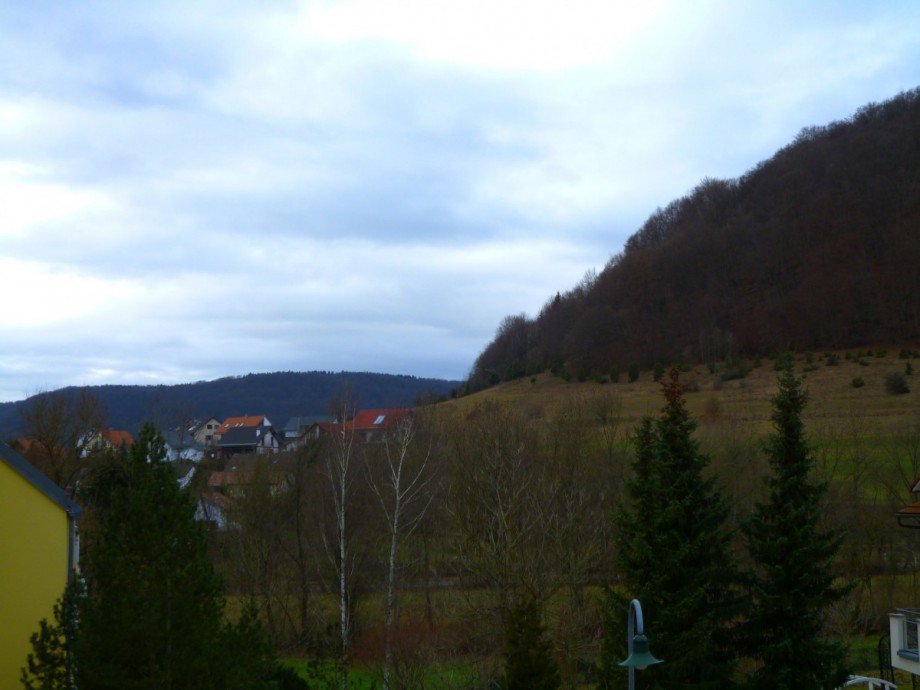 Aussicht Erdgeschosswohnung Bad Ditzenbach