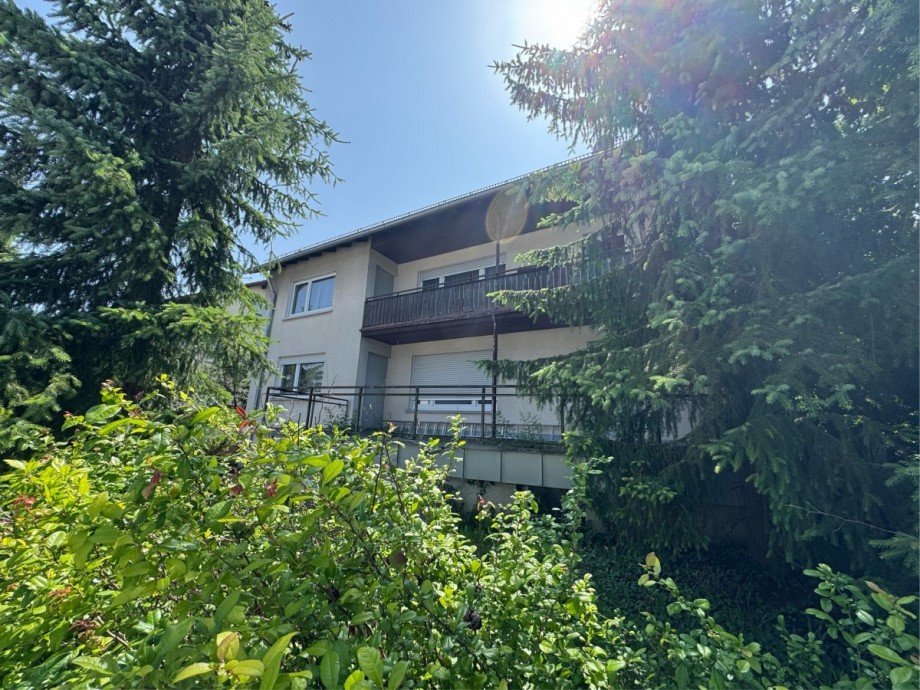 Ansicht West Mehrfamilienhaus Ottenbach