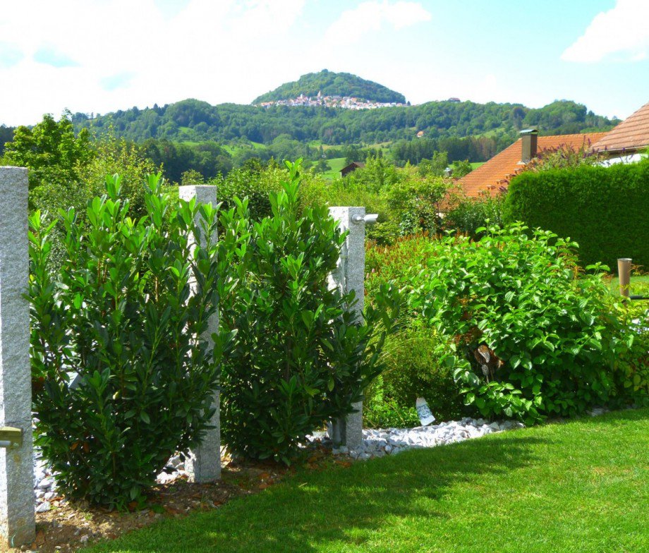 Ausblick vom Garten Zweifamilienhaus Ottenbach