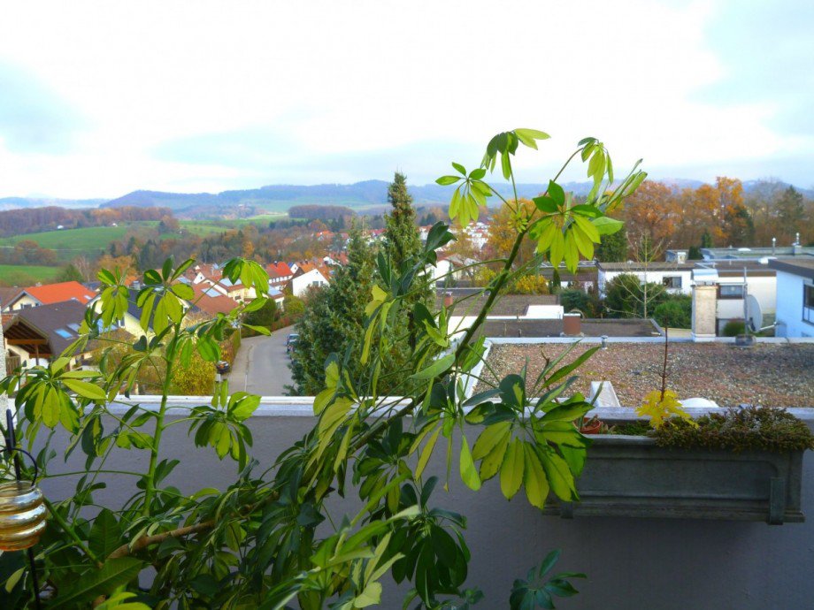 Ausblick Terrassenwohnung Eislingen